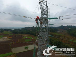 宜宾供电高质量发展 为建成全省经济副中心注入强劲动力